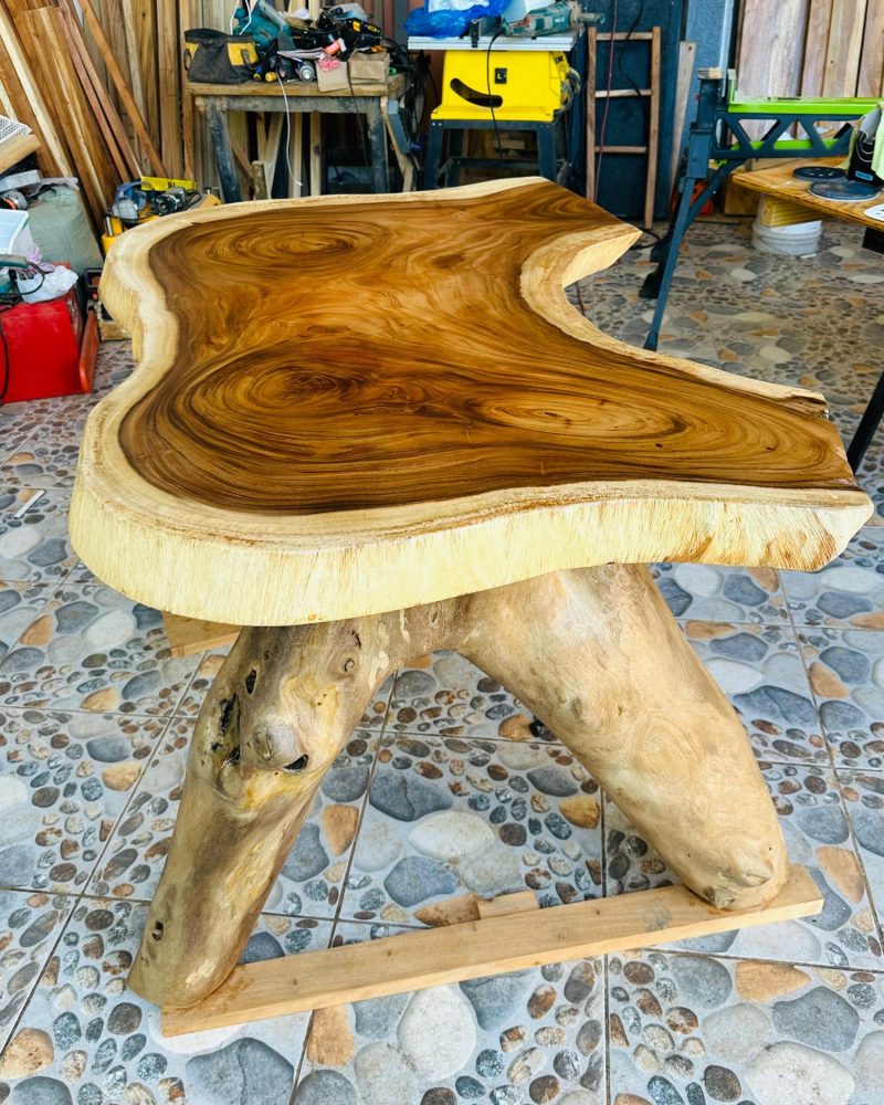 Slab Table on a Root Base